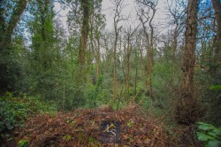 Images for Dorset Avenue, Bramhall, SK7